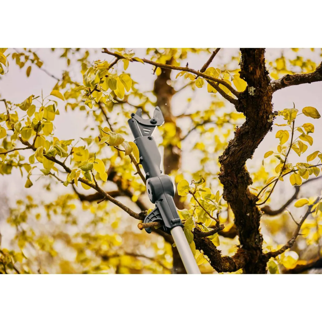 Akkuoksaleikkuri Gardena teleskooppi HighCut 360/18V P4A