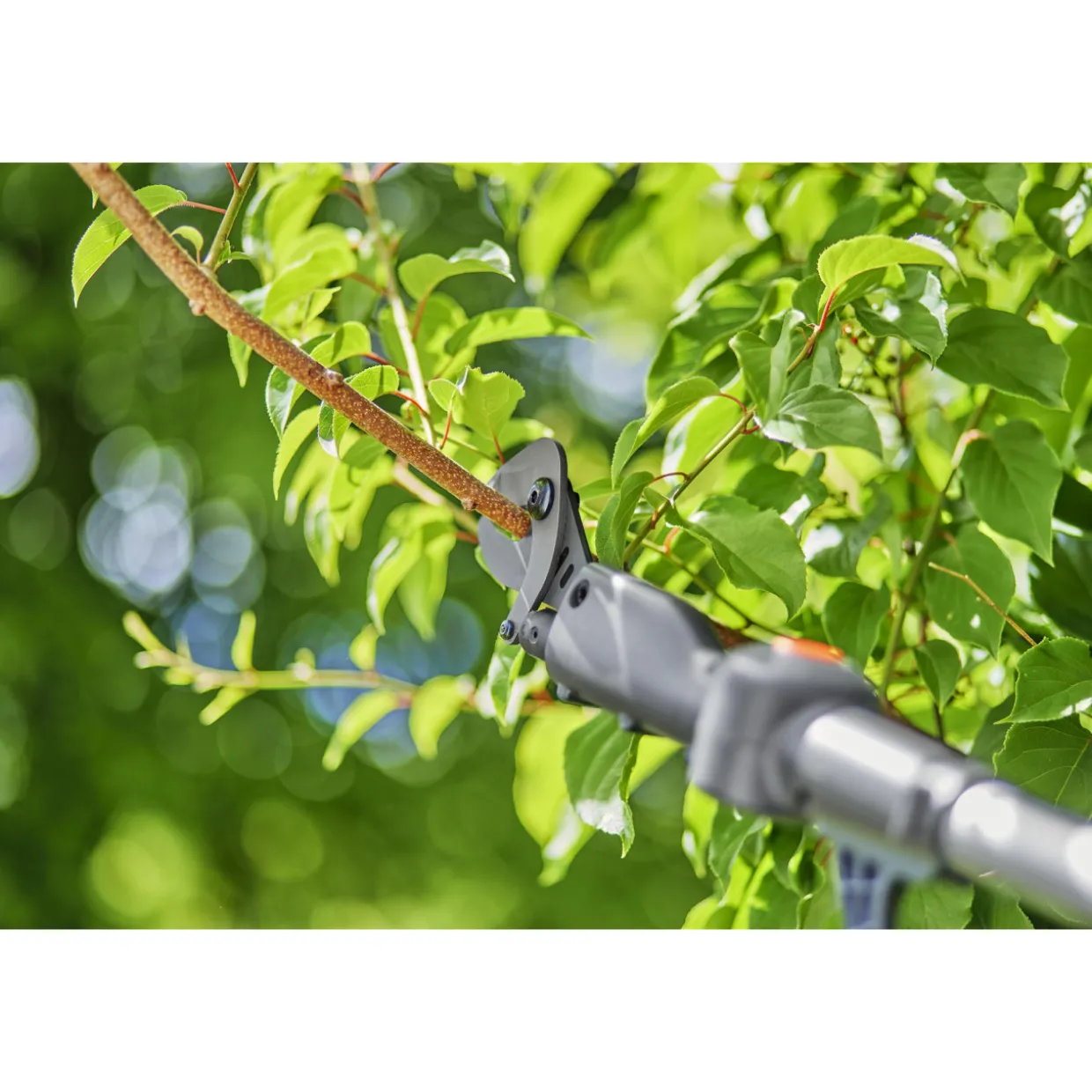 Akkuoksaleikkuri Gardena teleskooppi HighCut 250/18V P4A