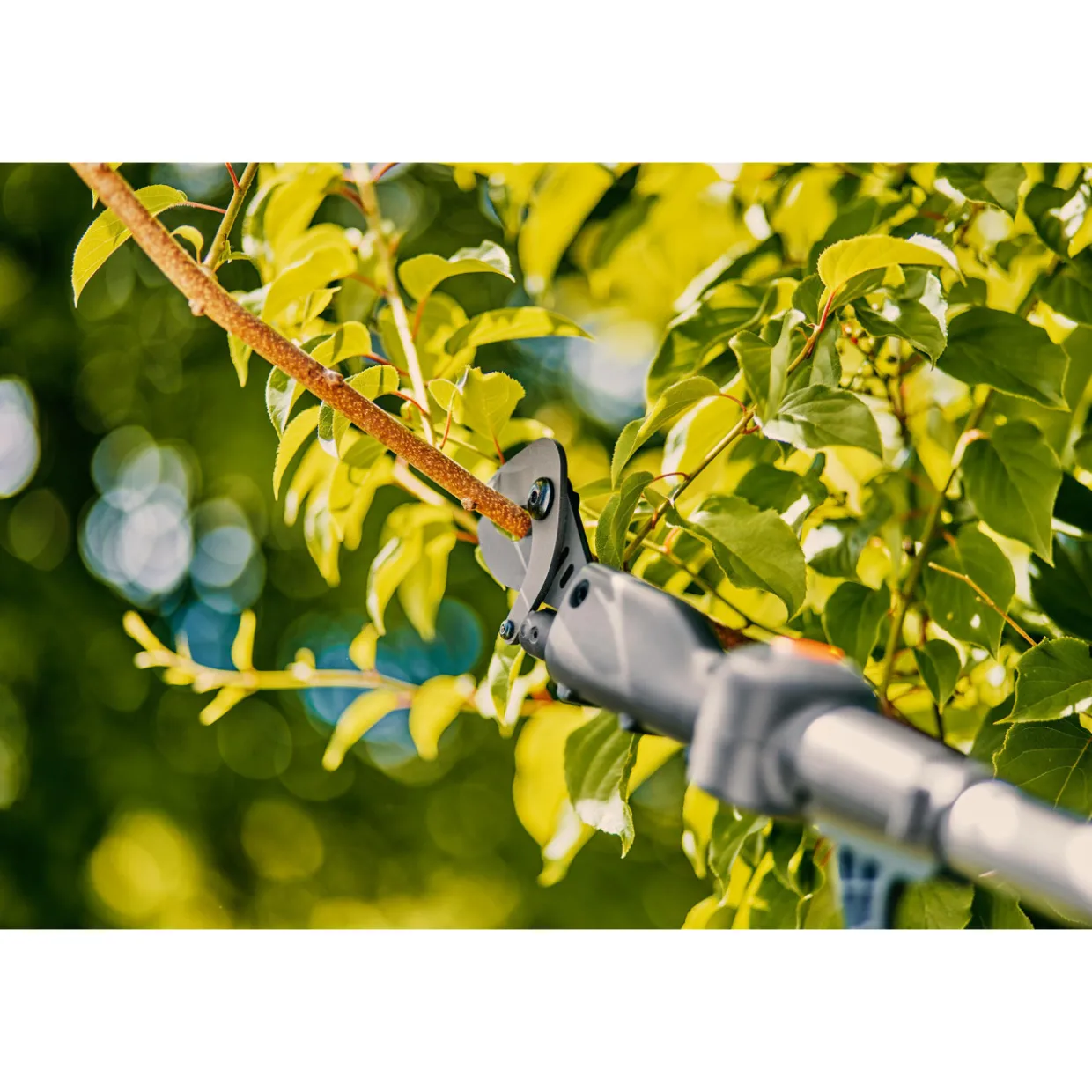 Akkuoksaleikkuri Gardena teleskooppi HighCut 250/18V P4A