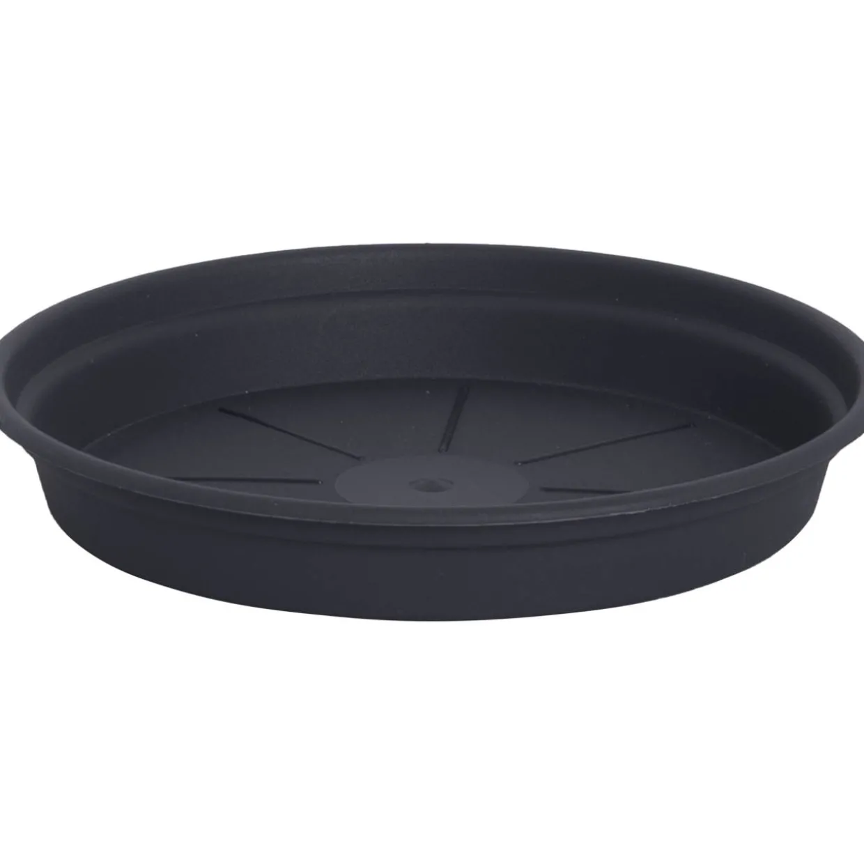 Alunen Gardenico Camelie 15 cm