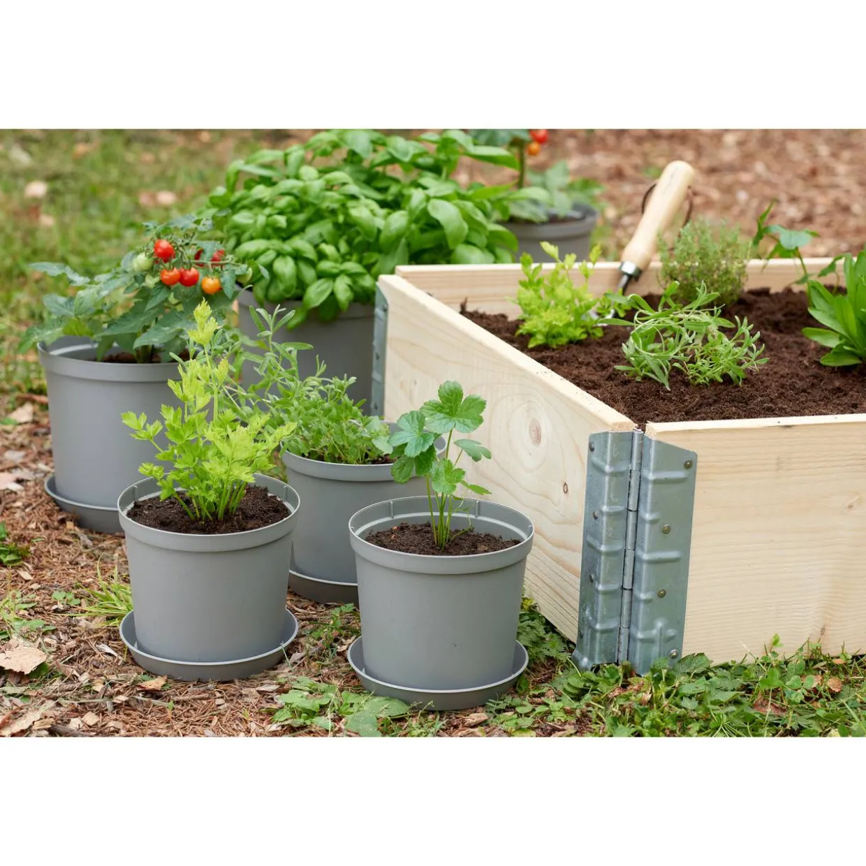 Alusvati Orthex 12 cm Recycled Cultivate harmaa