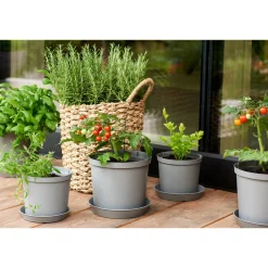 Alusvati Orthex 18 cm Recycled Cultivate harmaa