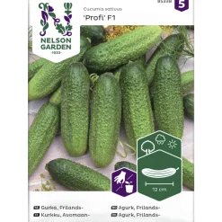Avomaankurkku siemen Nelson Garden Basic Profi F1