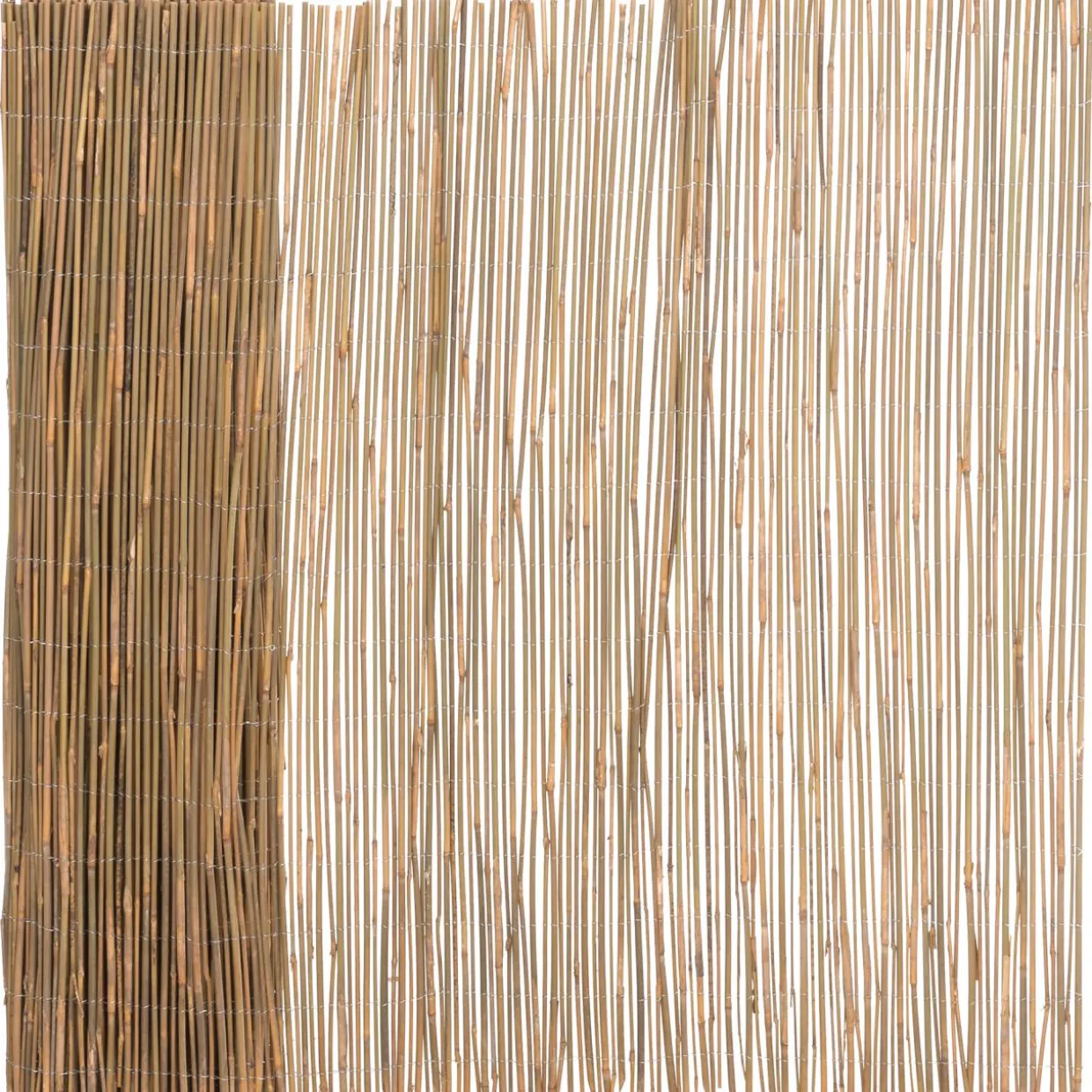 Bambuaita 4Living 2 x 5 m