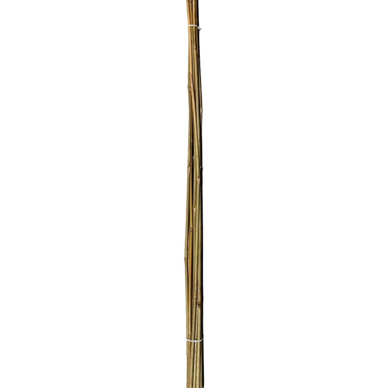 Bambukeppi Tok Garden 90 cm 10 kpl
