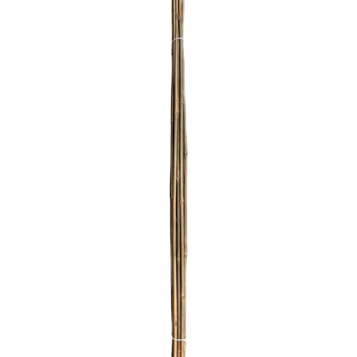 Bambukeppi Tok Garden 120 cm 10 kpl