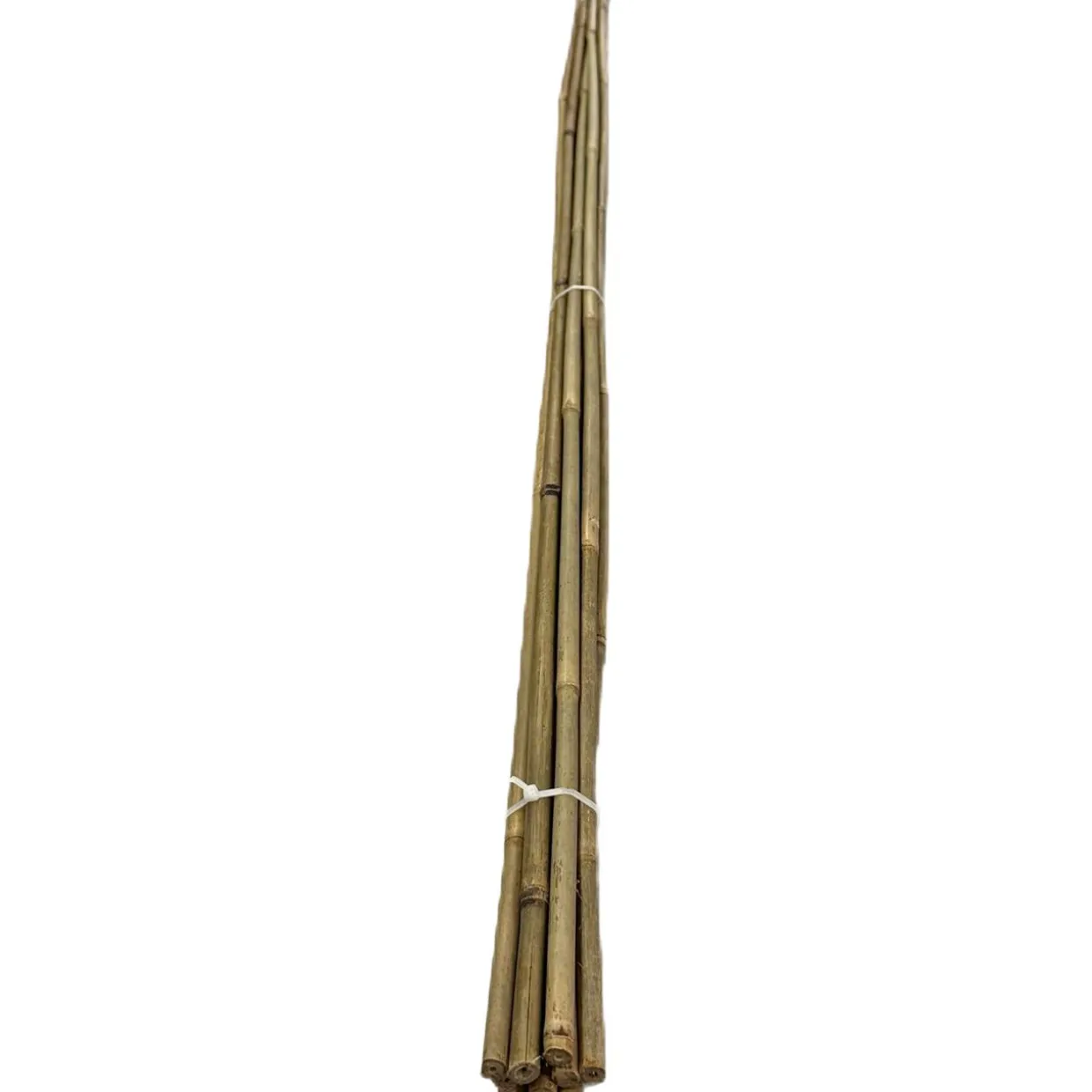 Bambukeppi Tok Garden 120 cm 10 kpl