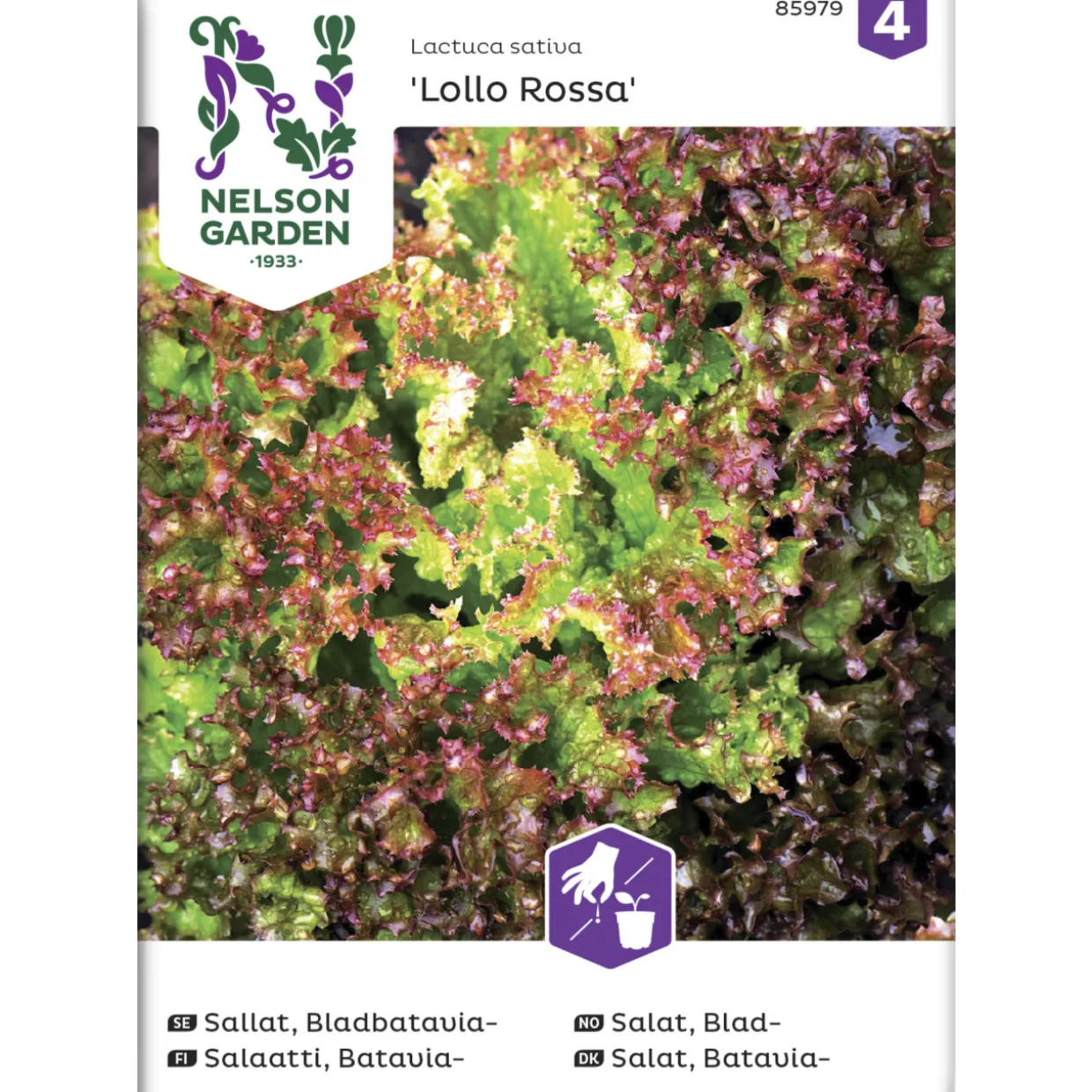 Bataviasalaatti siemen Nelson Garden Basic Lollo Rossa