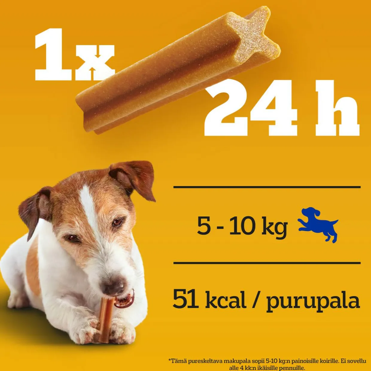 Dentastix Pedigree 5 x 110 g Small