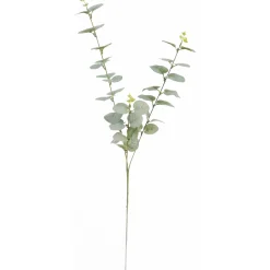 Eukalyptusoksa Kotikulta 74 cm