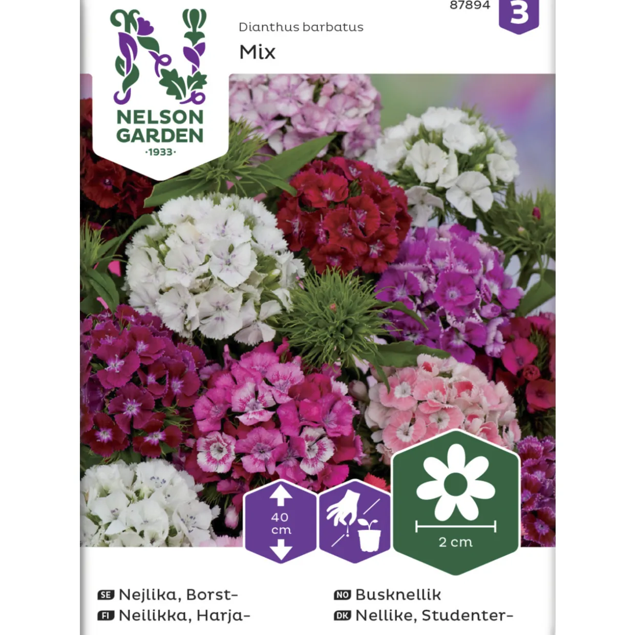 Harjaneilikka siemen Nelson Garden Basic seos
