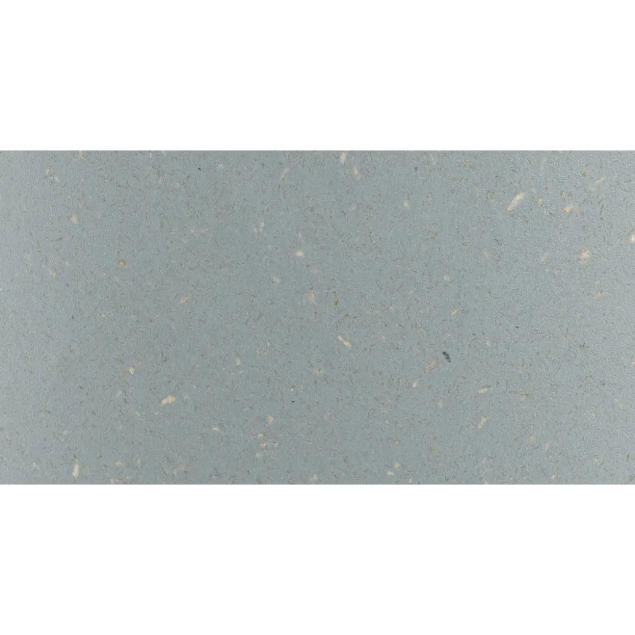 Hiilihapotuslaite Mysoda Glassy Pigeon