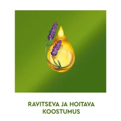 Hiusväri Schwarzkopf Natural & Easy 570 Aito Kastanja Keskiruskea