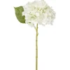 Hortensia Kotikulta 32 cm valkoinen