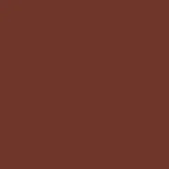 Huultenrajauskynä Wet N Wild 1,4 g Color Icon Chestnut
