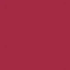 Huultenrajauskynä Wet N Wild 1,4 g Color Icon Fab Fuchsia