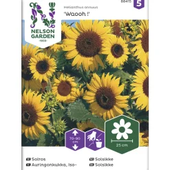 Isoauringonkukka siemen Nelson Garden Basic Waooh