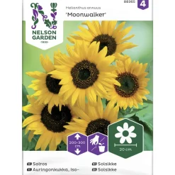 Isoauringonkukka siemen Nelson Garden Basic Moonwalker