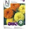 Isosamettikukka siemen Nelson Garden Basic Crackerjack