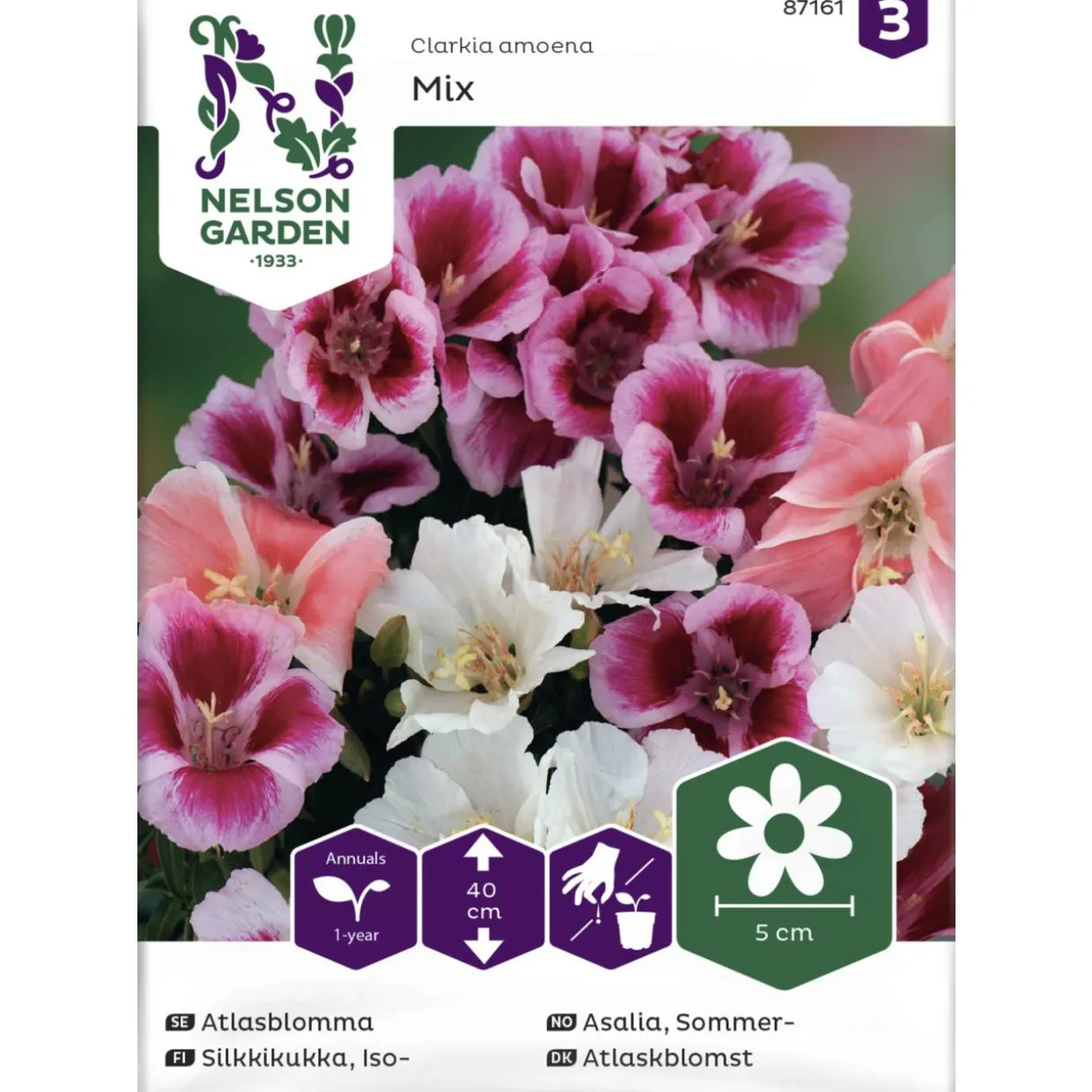 Isosilkkikukka siemen Nelson Garden Basic väriseos