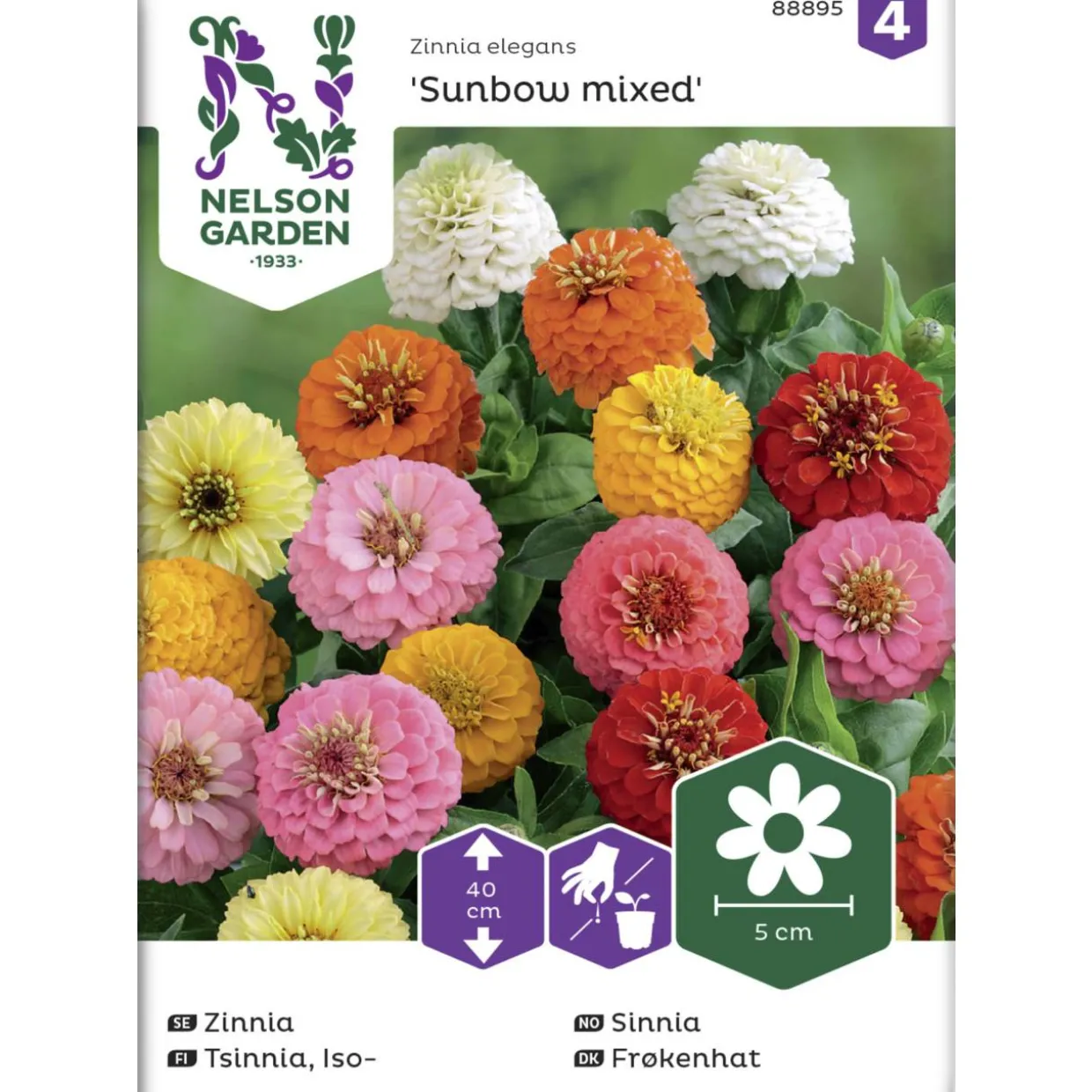 Isotsinnia siemen Nelson Garden Basic Sunbow väriseos