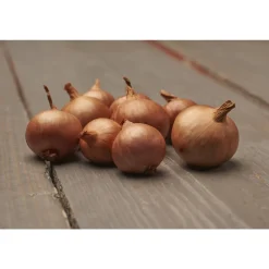 Istukassipuli salottisipuli Red Sun 500 g Golden Selection