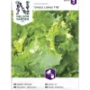 Jäävuorisalaatti siemen Nelson Garden Basic Great Lakes 118