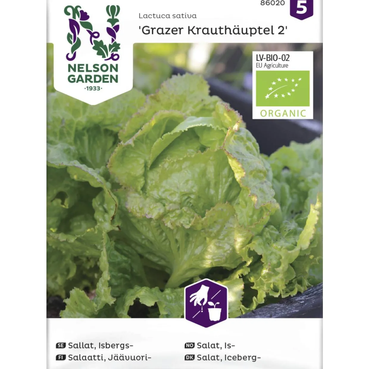 Jäävuorisalaatti siemen Nelson Garden Basic Grazer Krauthäuptel
