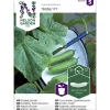 Kasvihuonekurkku siemen Nelson Garden Basic Baby F1