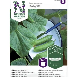 Kasvihuonekurkku siemen Nelson Garden Basic Baby F1
