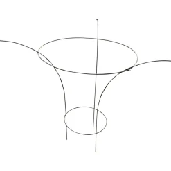 Kasvituki Pioni Ø30/60 cm, korkeus 1 m