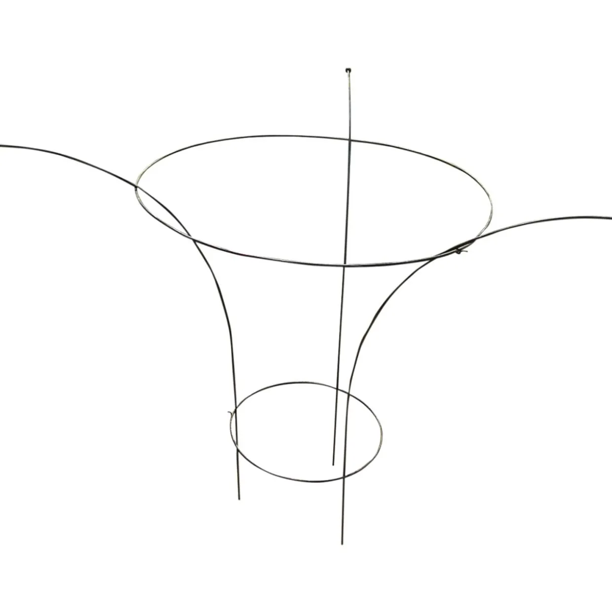 Kasvituki Pioni Ø30/60 cm, korkeus 1 m