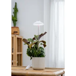 Kasvivalo Airam Iris 5W/835 240 lm valkoinen