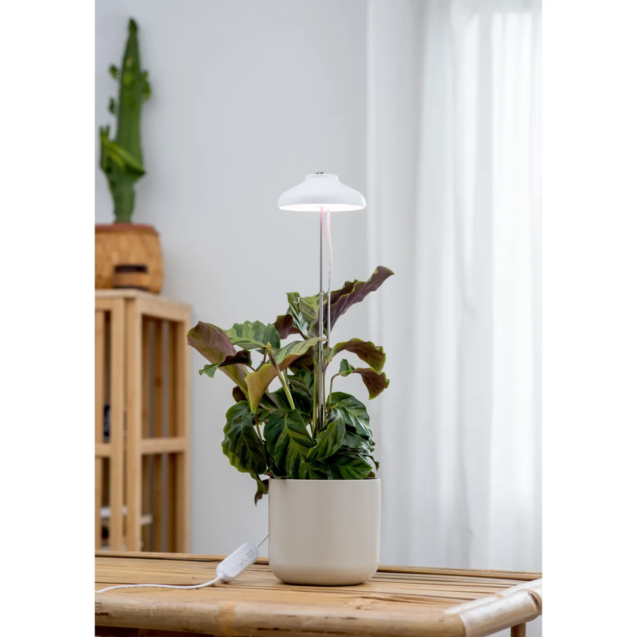 Kasvivalo Airam Iris 5W/835 240 lm valkoinen