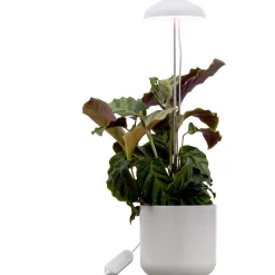 Kasvivalo Airam Iris 5W/835 240 lm valkoinen