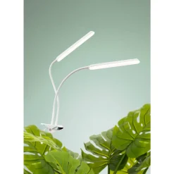Kasvivalo Airam Tulip 16W/940 780lm