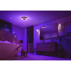 Kattovalaisin Philips Hue Xamento M musta