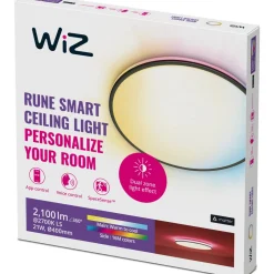 Kattovalaisin WiZ Rune musta 21W