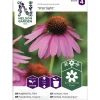 Kaunopunahattu siemen Nelson Garden Basic Starlight