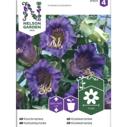 Kelloköynnös siemen Nelson Garden Basic