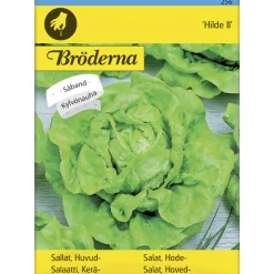 Keräsalaatti Hilde II kylvönauha siemen Bröderna Nelsons
