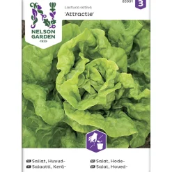 Keräsalaatti siemen Nelson Garden Basic Attractie