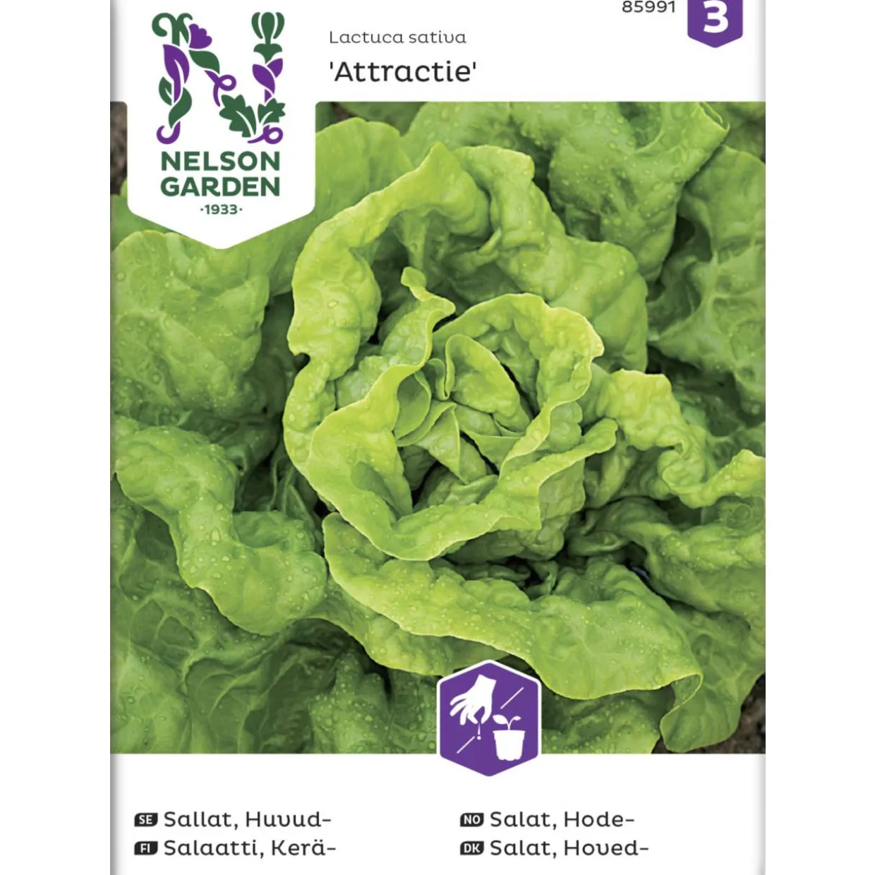 Keräsalaatti siemen Nelson Garden Basic Attractie