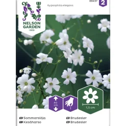Kesäharso siemen Nelson Garden Basic