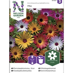 Keskipäivänkukka siemen Nelson Garden Basic väriseos