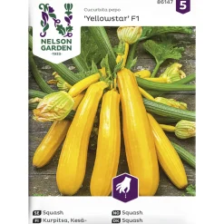 Kesäkurpitsa siemen Nelson Garden Basic Yellowstar F1