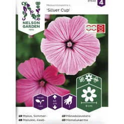 Kesämalvikki siemen Nelson Garden Basic Silver Cup