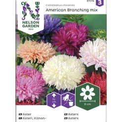 Kiinanasteri siemen Nelson Garden Basic American Branching