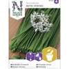 Kiinansipuli siemen Nelson Garden Basic