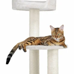Kissan kiipeilypuu Real Cat Rondo 125 cm